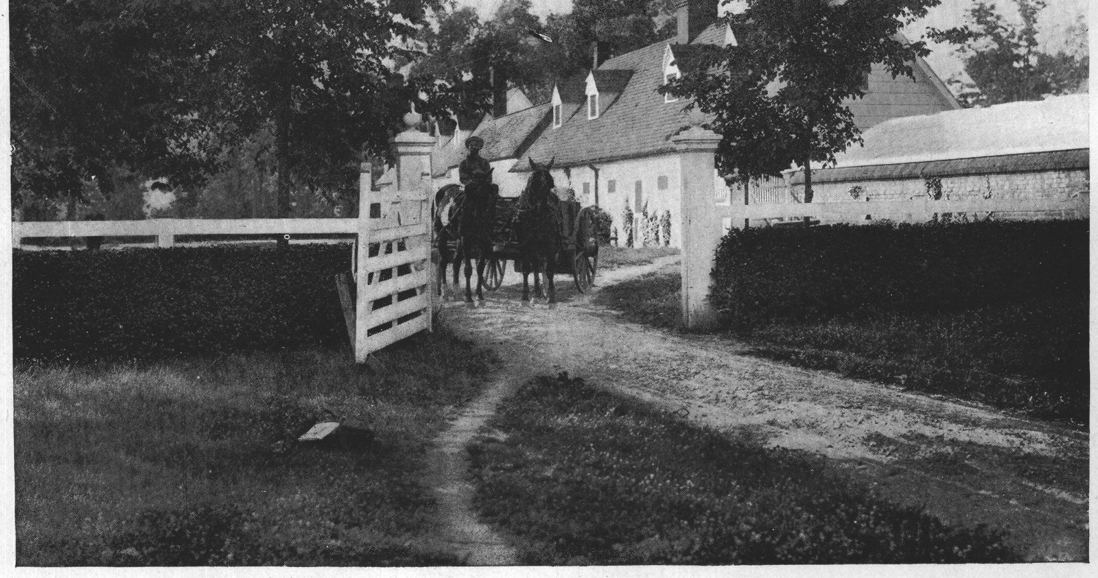 The Quarters