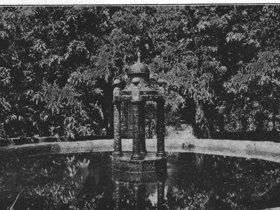 The Borda Garden