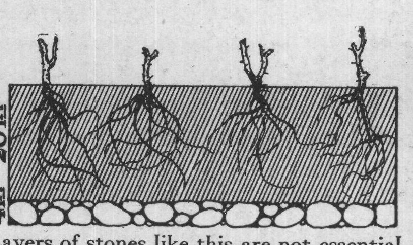 ficial drainage at all will