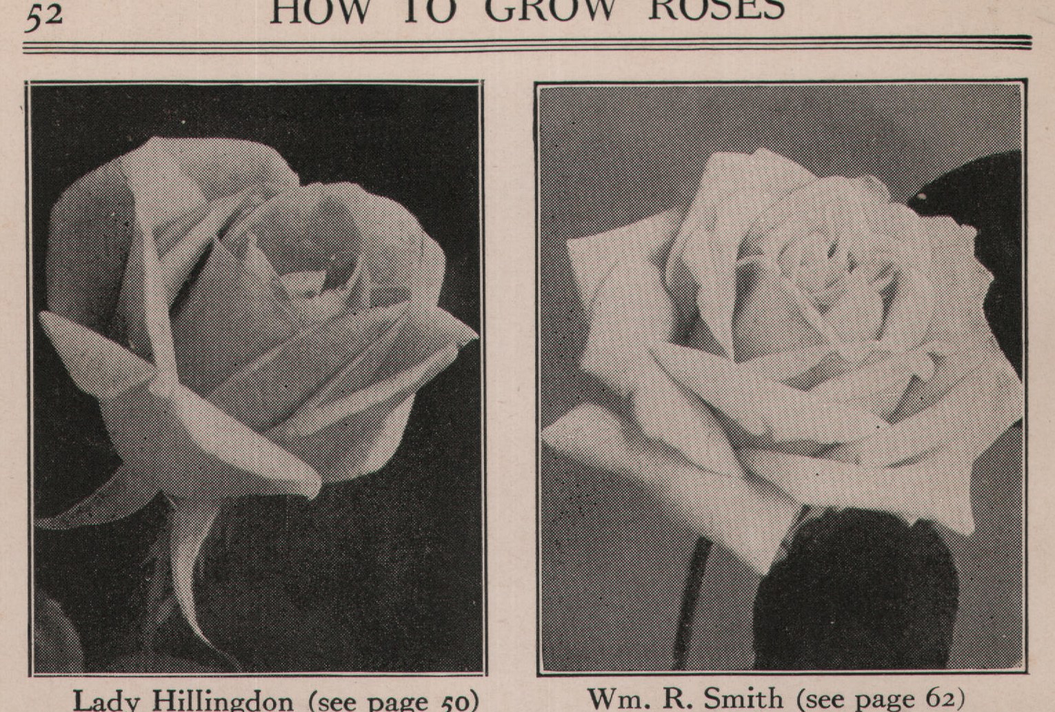 Wm. R. Smith (see page 62)