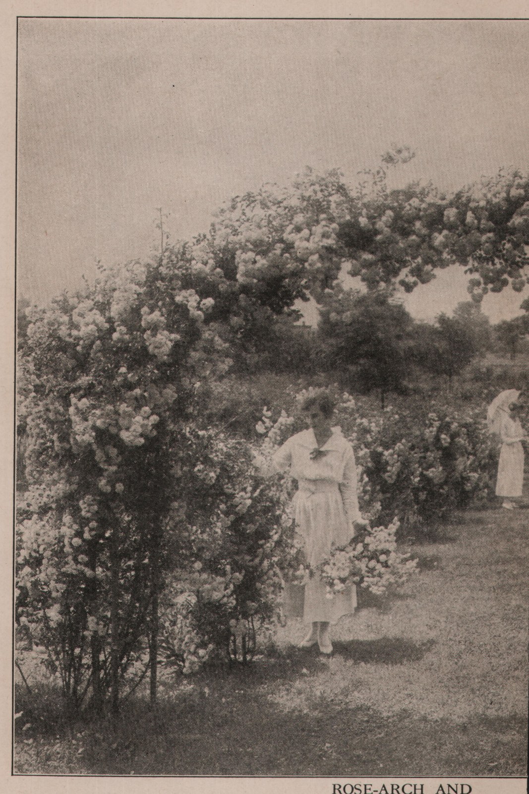 ROSE-ARCH AND