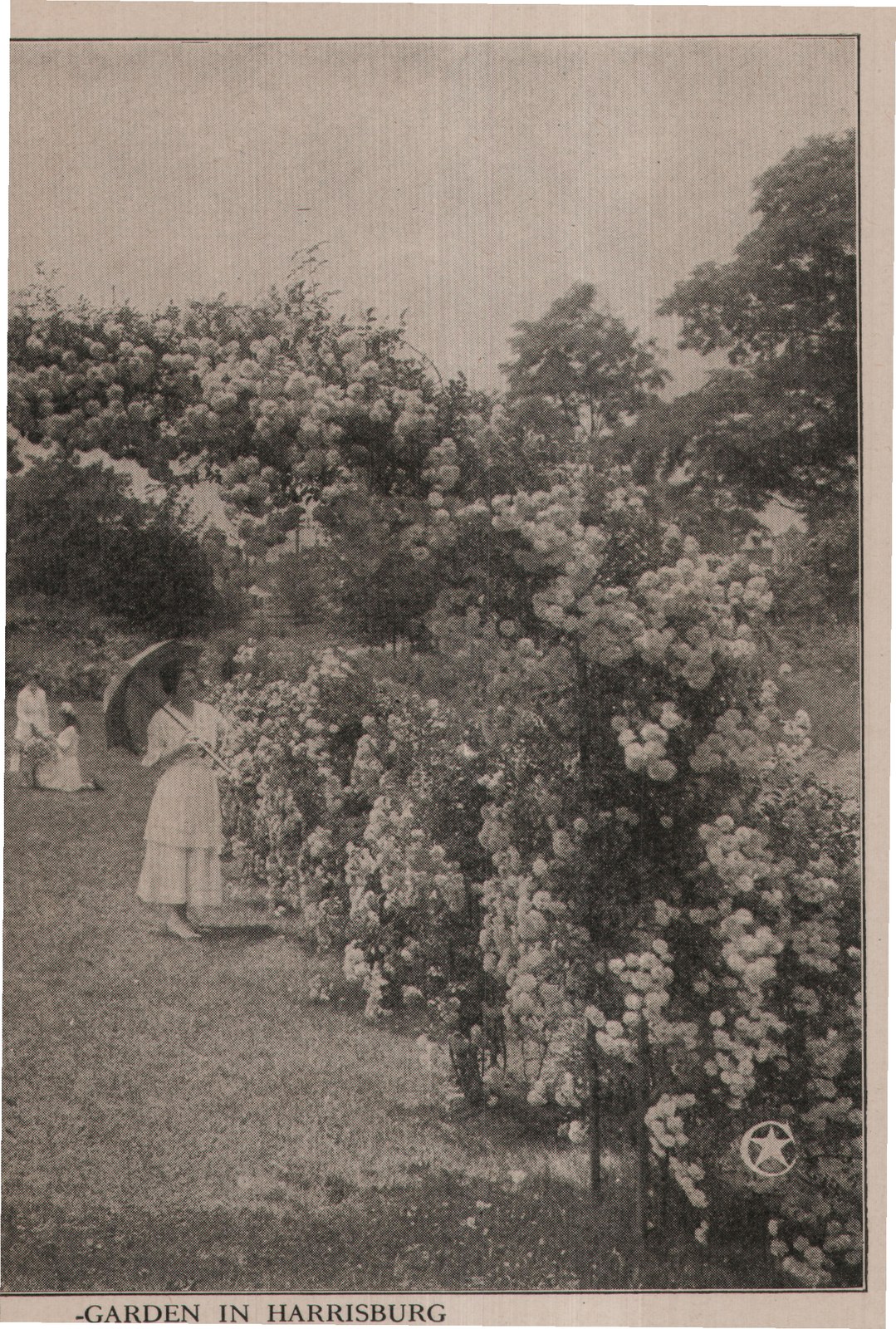 -GARDEN IN HARRISBURG