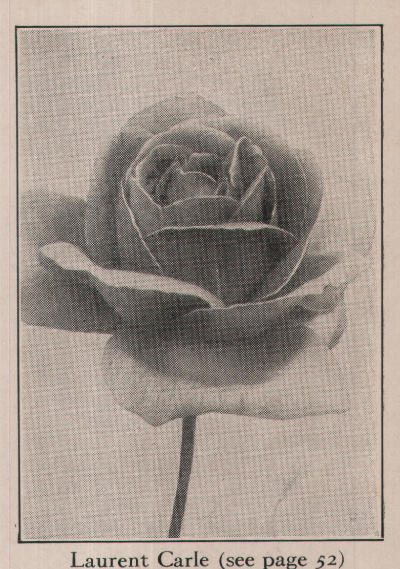 Laurent Carle (see page 52)