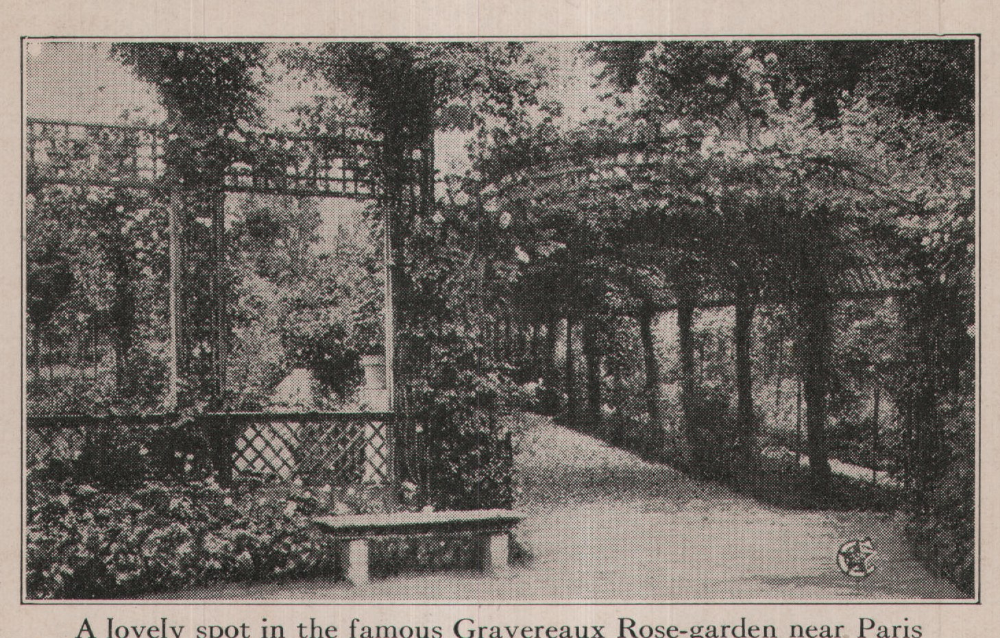 A lovely spot in the famous Gravereaux Rose-garden near Paris