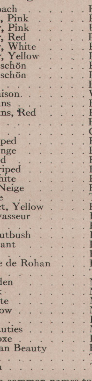 N.B.-See also common names to rose species, foot of page 107.