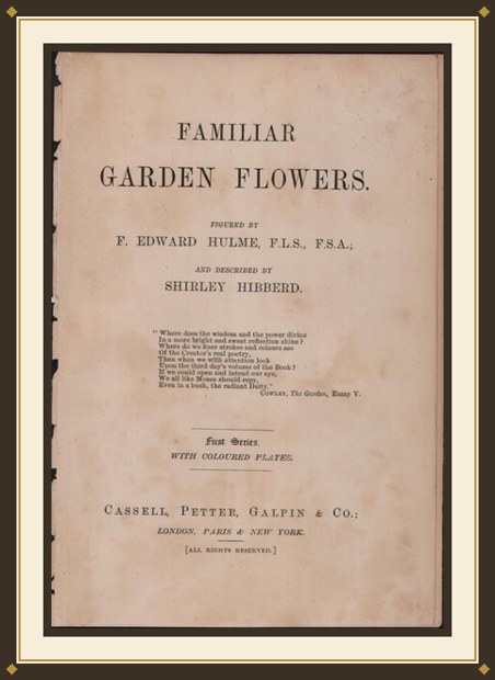 Familiar Garden Flowers