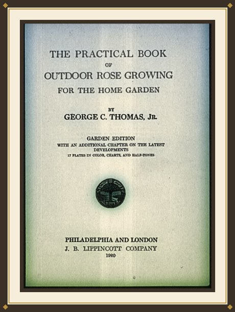 The Practical Book of Outdoor Rose Growing