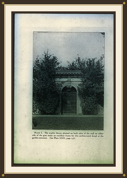 The Complete Garden
