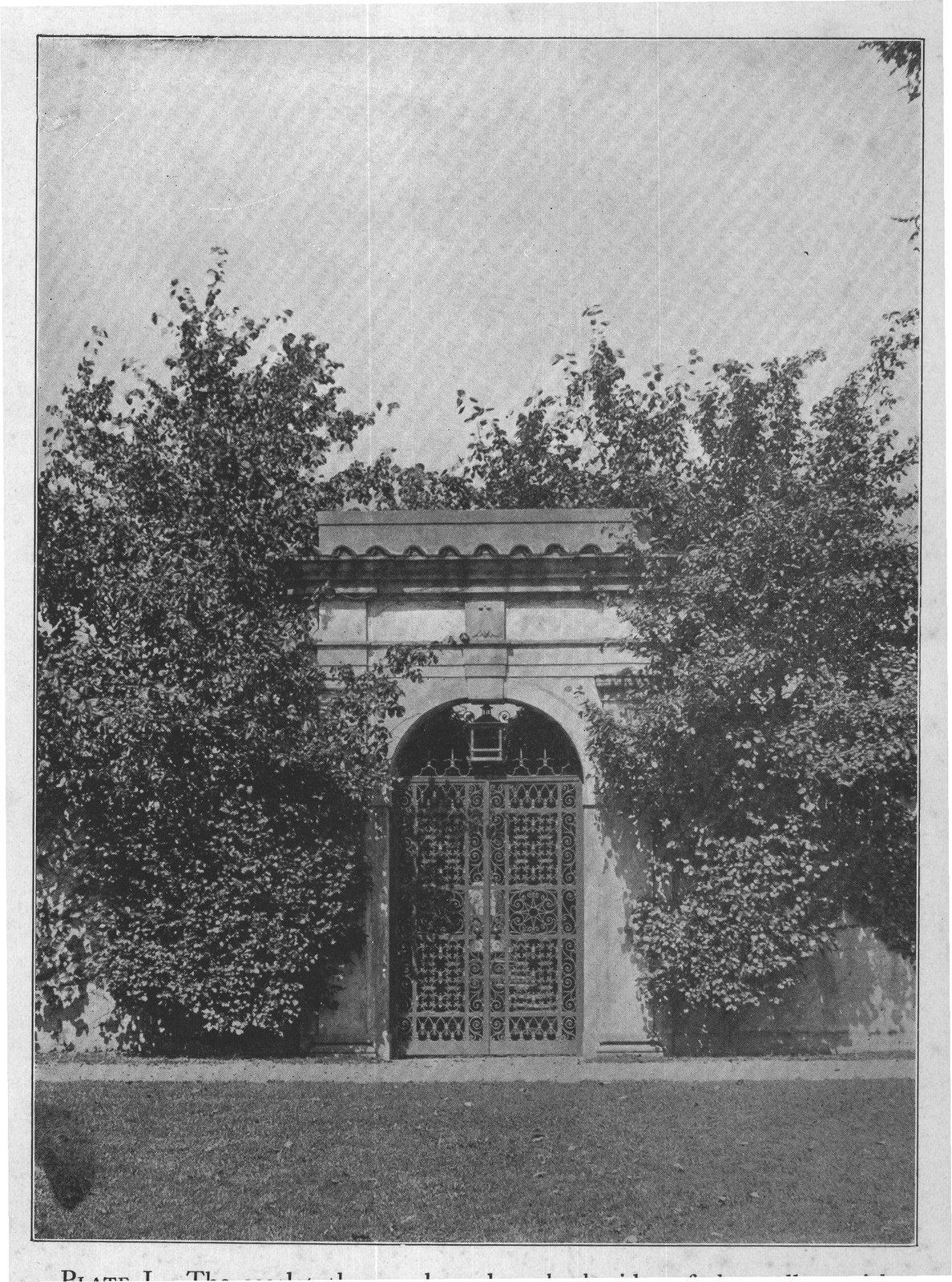 PLATE I. The scarlet thorns planted on both sides of the wall on either