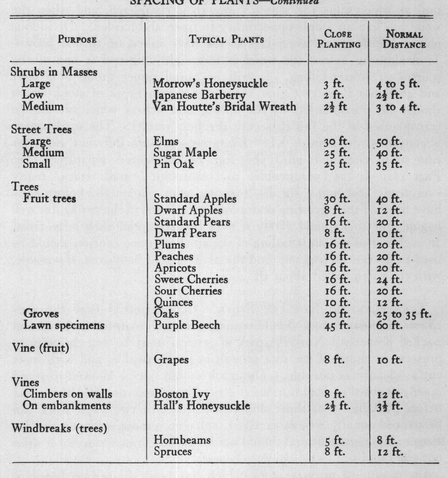 CONDITIONS FOR TRANSPLANTING. It is better to transplant stock