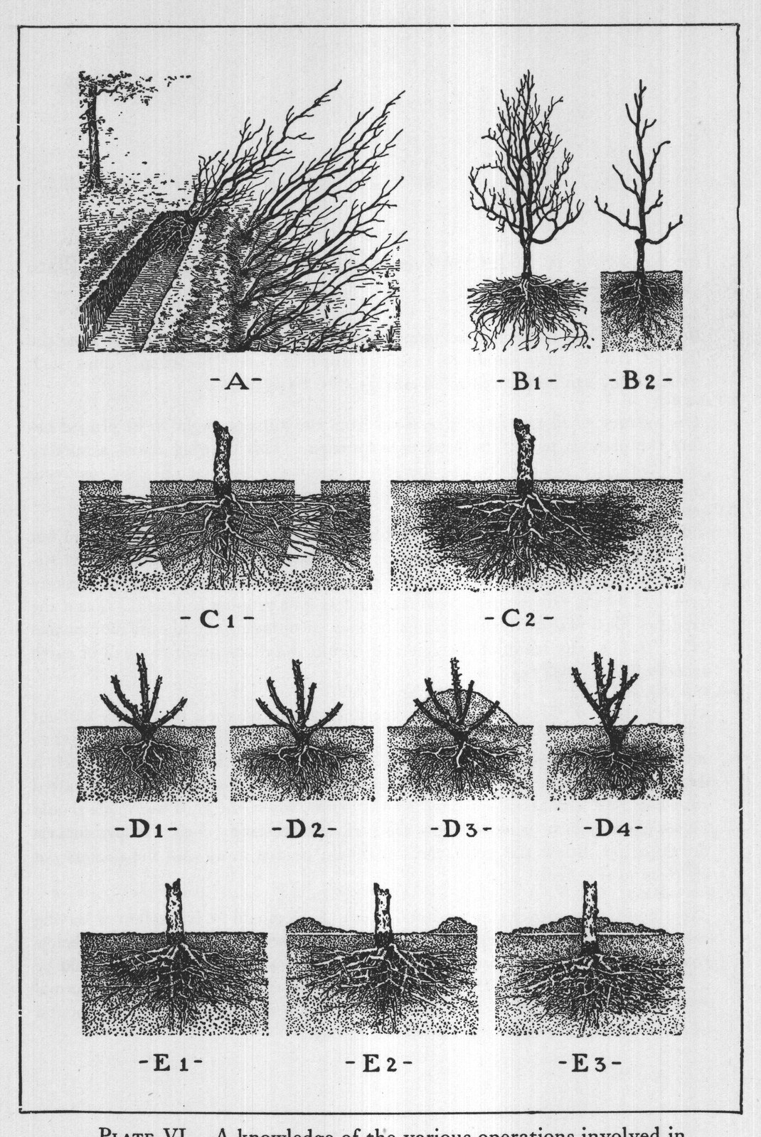 PLATE VI. A knowledge of the various operations involved in