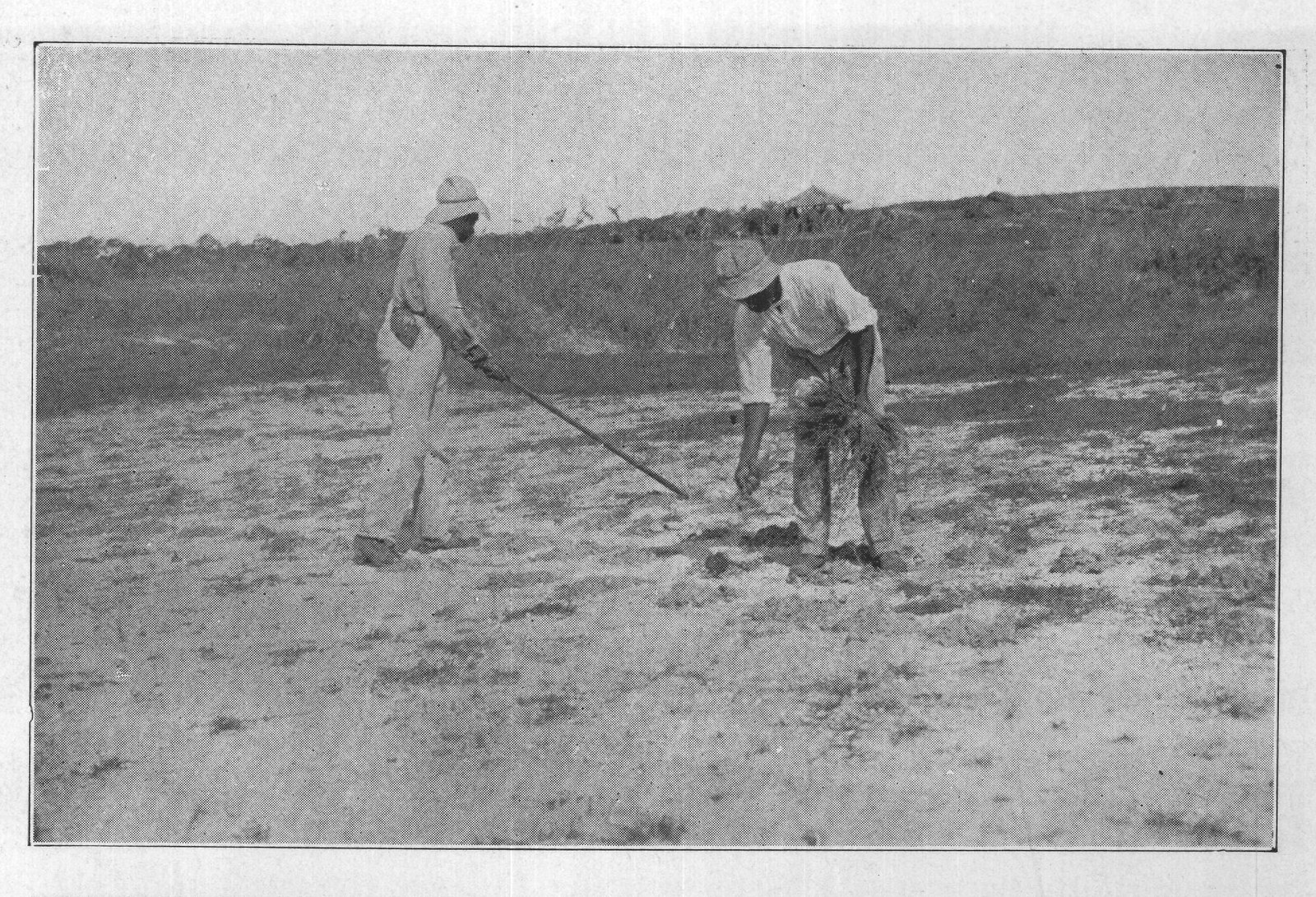 Planting and Transplanting: Soil — from The Complete Garden (1921)