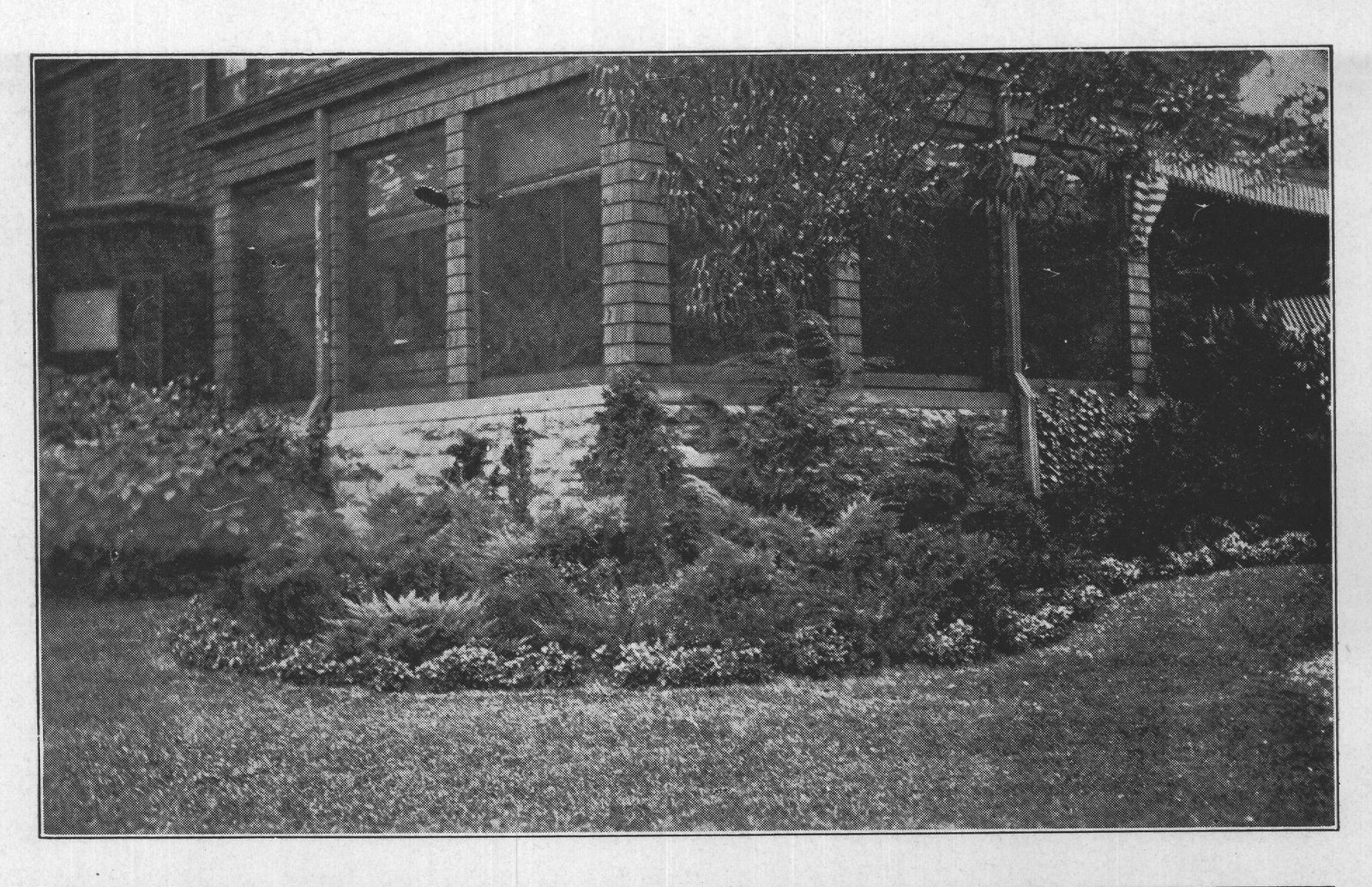 Lawns for the North: Types — from The Complete Garden (1921)