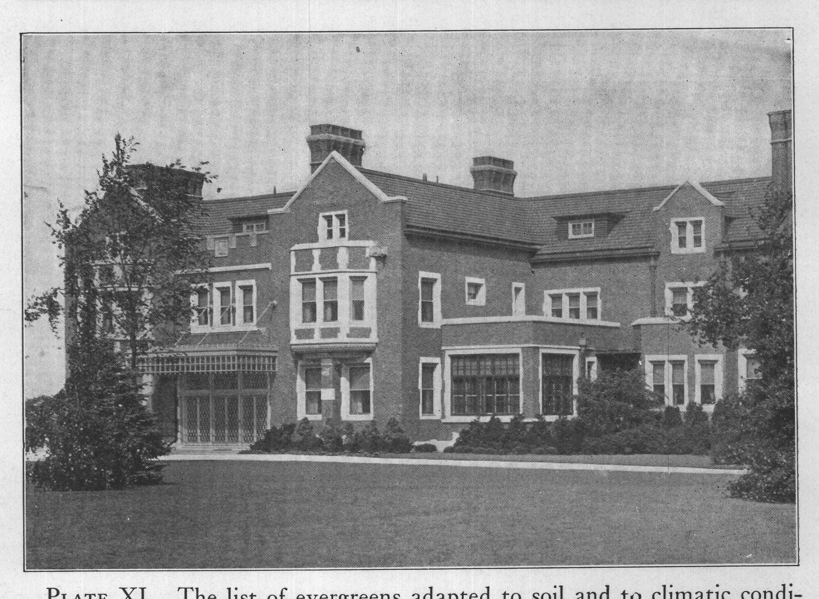 PLATE XI. The list of evergreens adapted to soil and to climatic condi-
