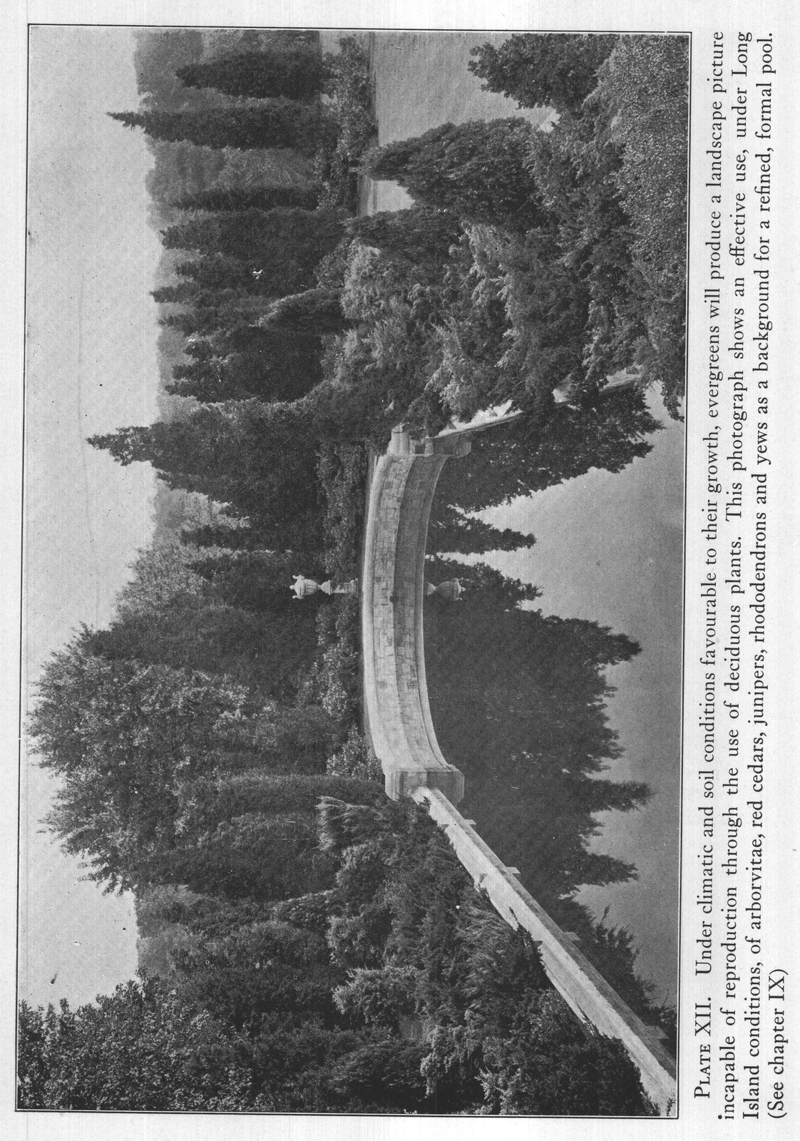 CHAPTER VII: Summer — from The Complete Garden (1921)