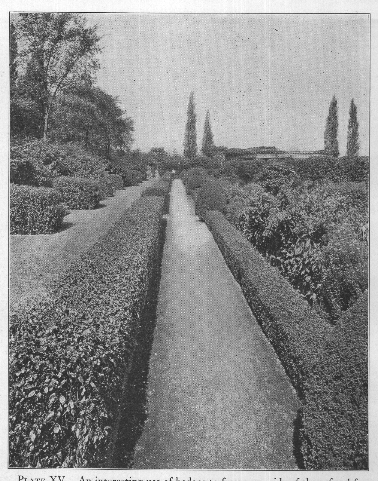PLATE XV. An interesting use of hedges to frame one side of the refined for-