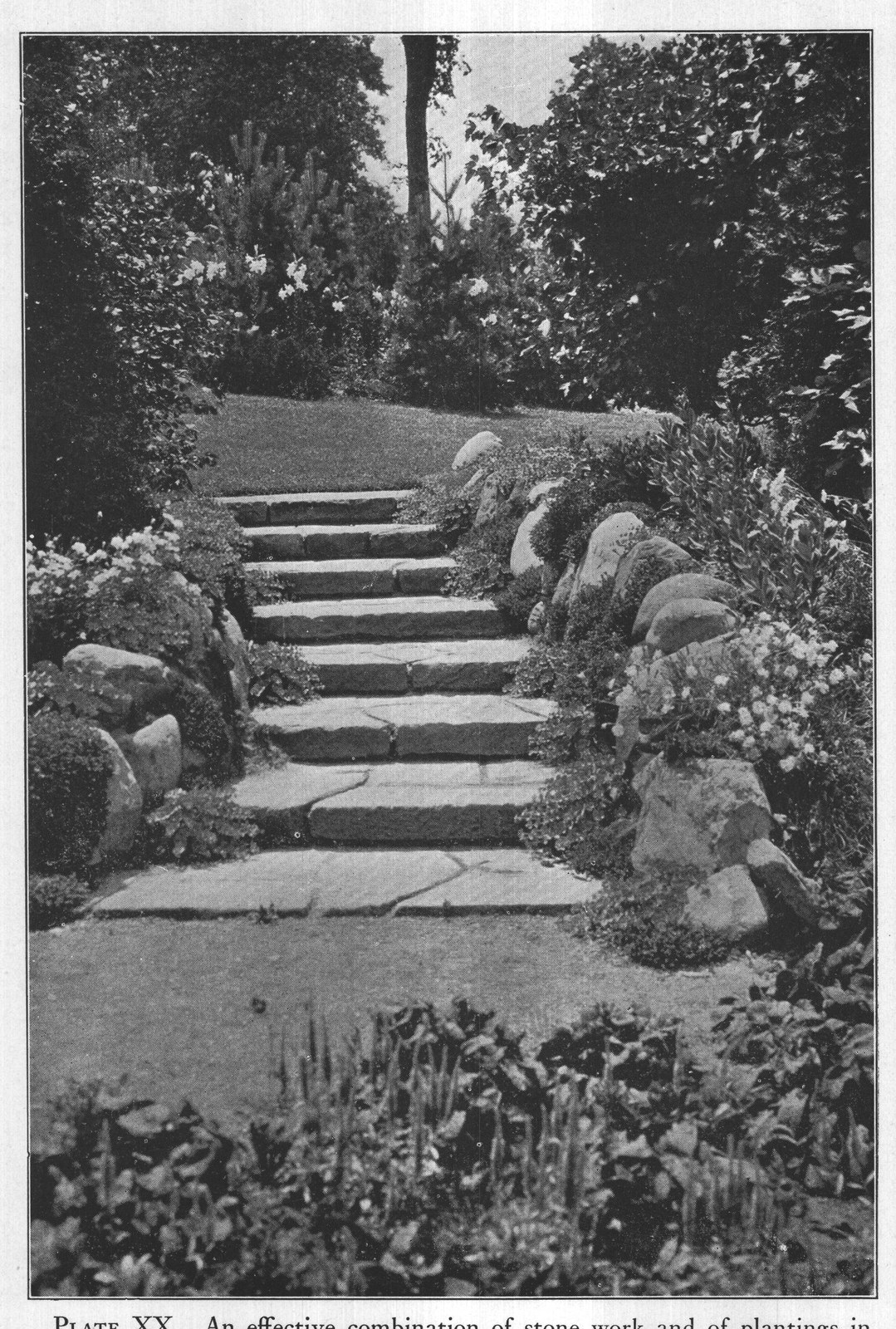 PLATE XX. An effective combination of stone work and of plantings in