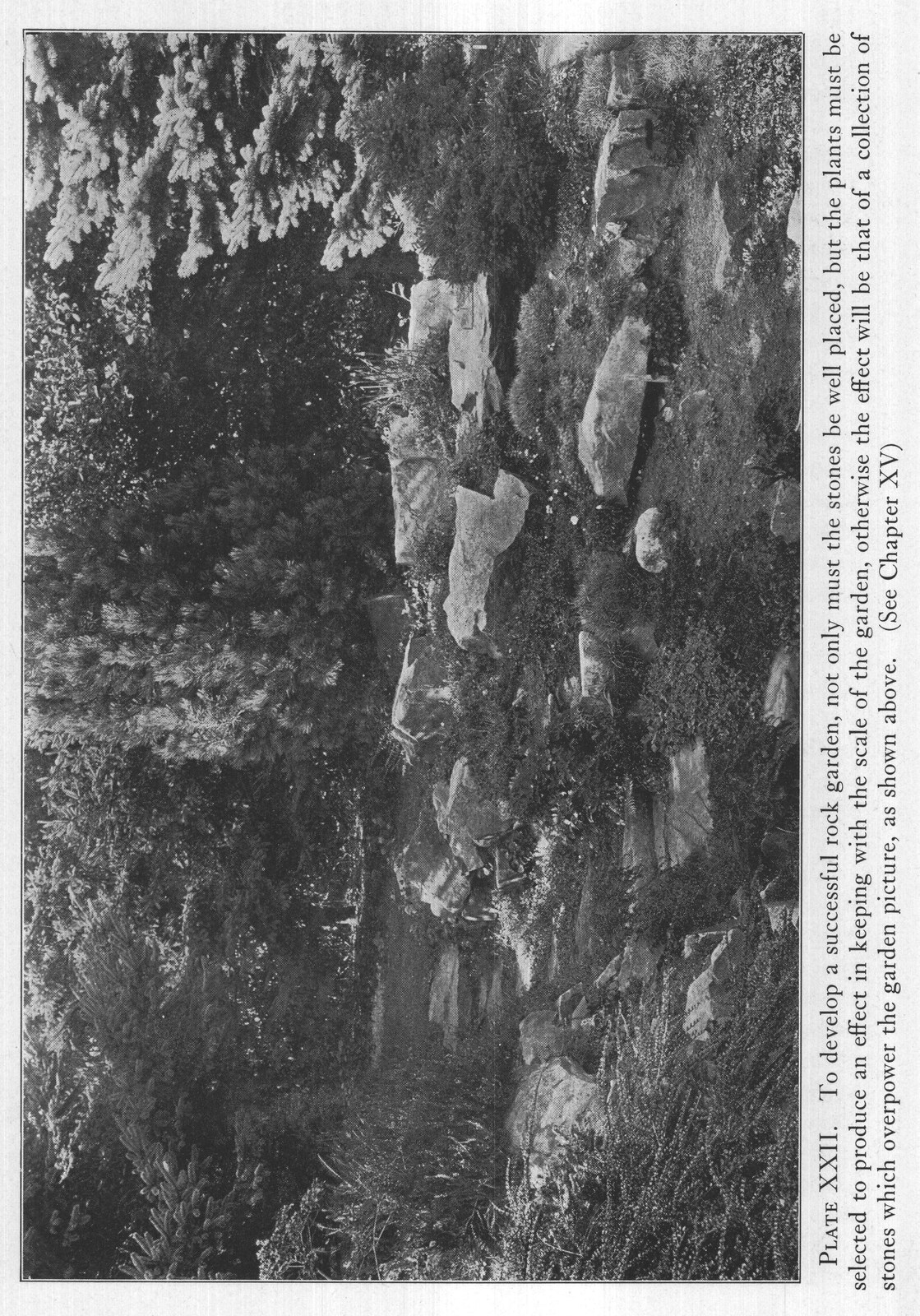Plants for Heavy Formal Effects: Japanese — from The Complete Garden (1921)