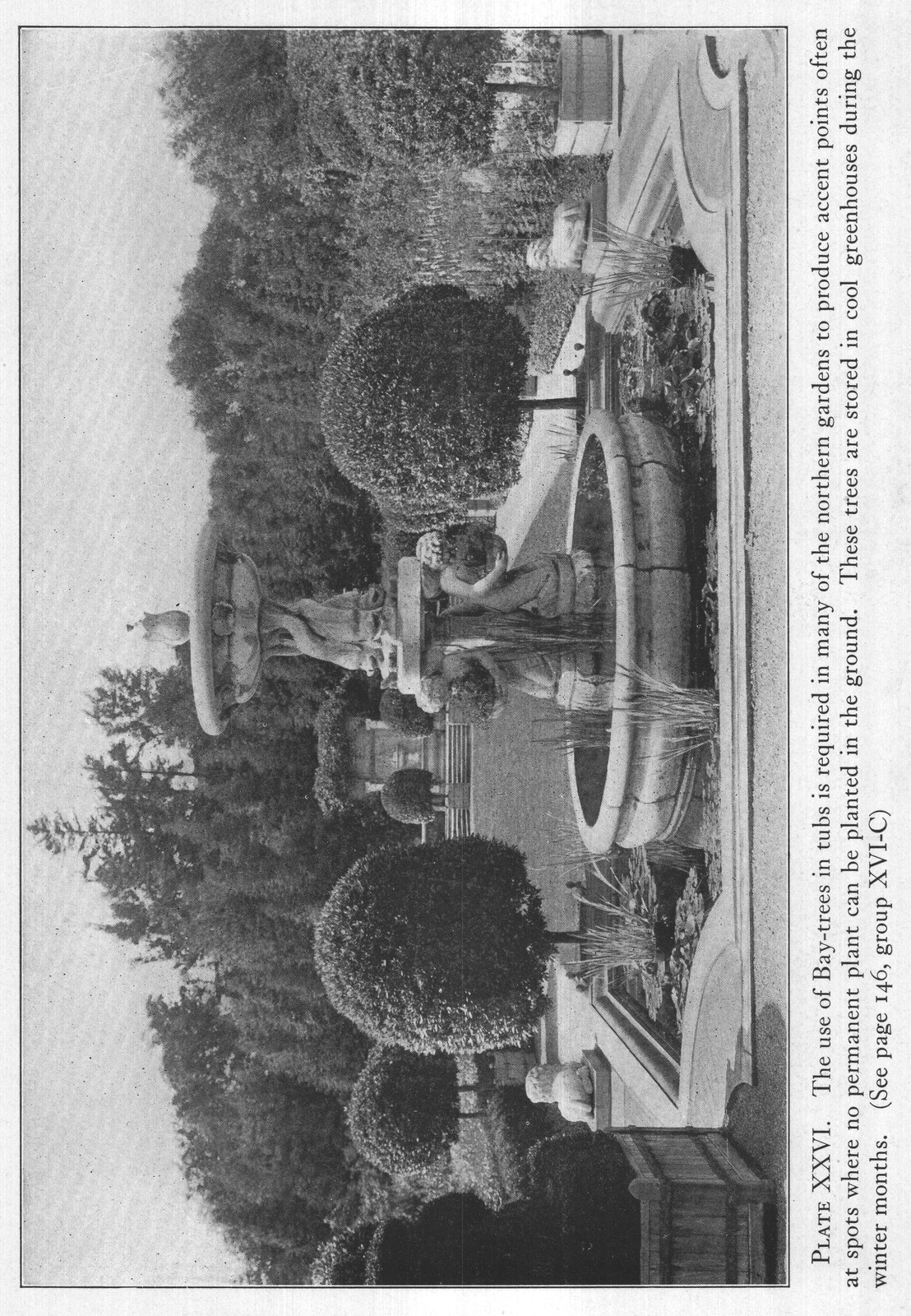 Plants for Autumn Colouration — from The Complete Garden (1921)