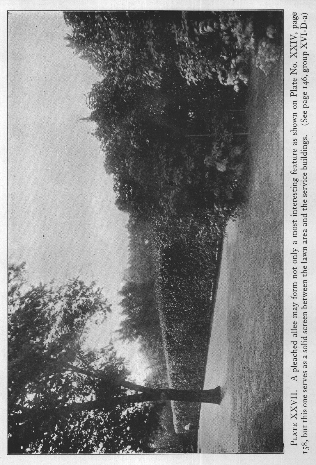 Plants for Autumn Colouration — from The Complete Garden (1921)