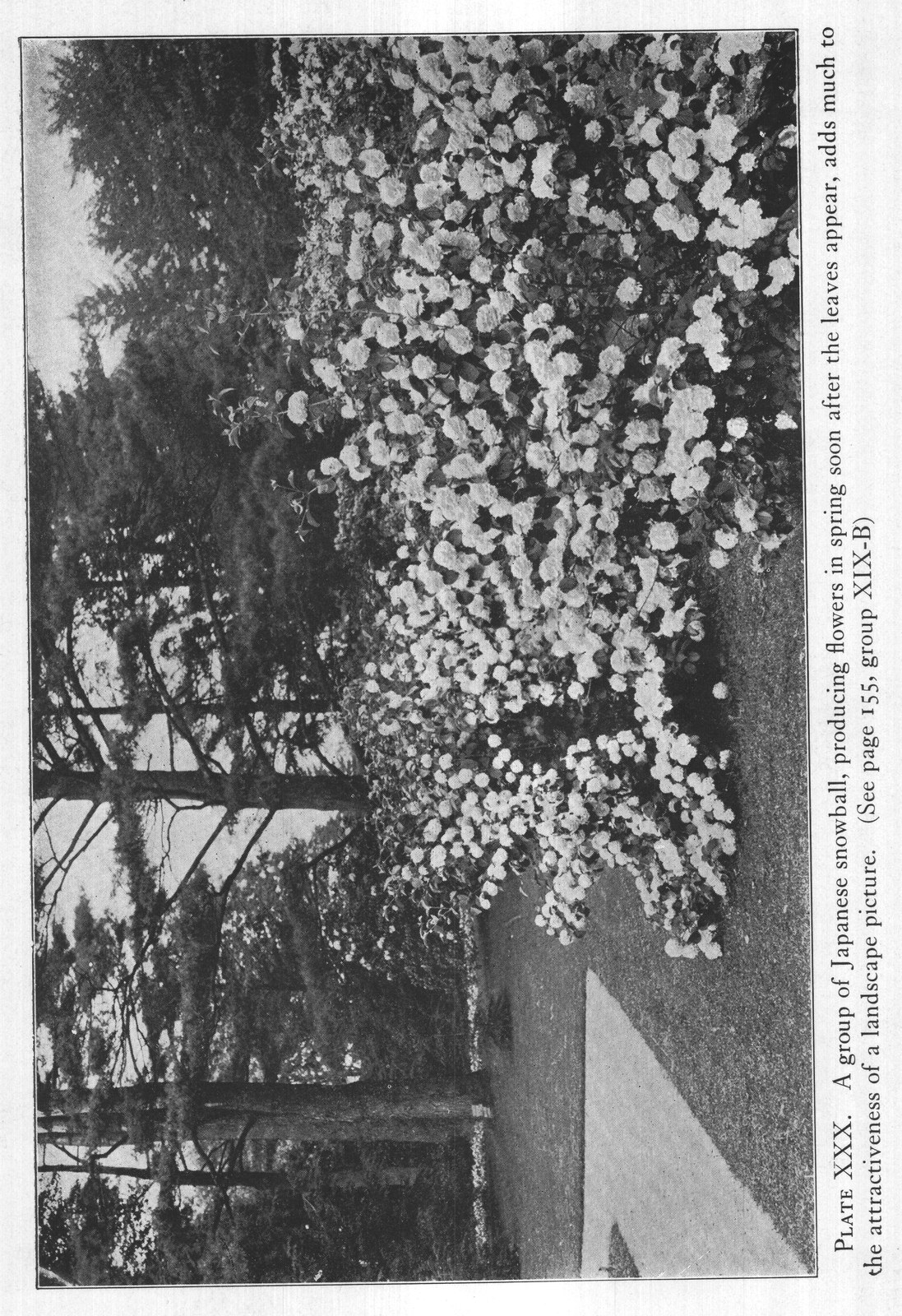 the attractiveness of a landscape picture. (See page 155, group XIX-B)