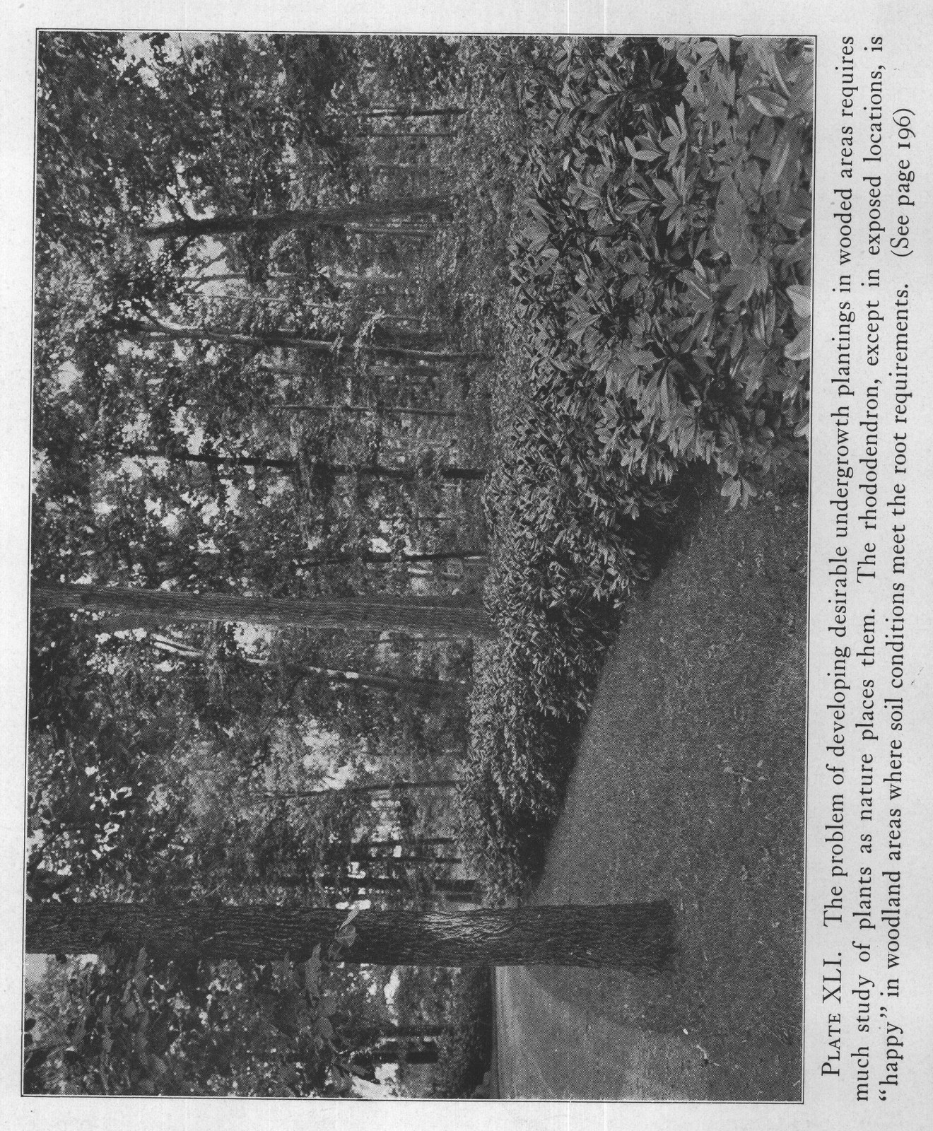 Colour Of — from The Complete Garden (1921)