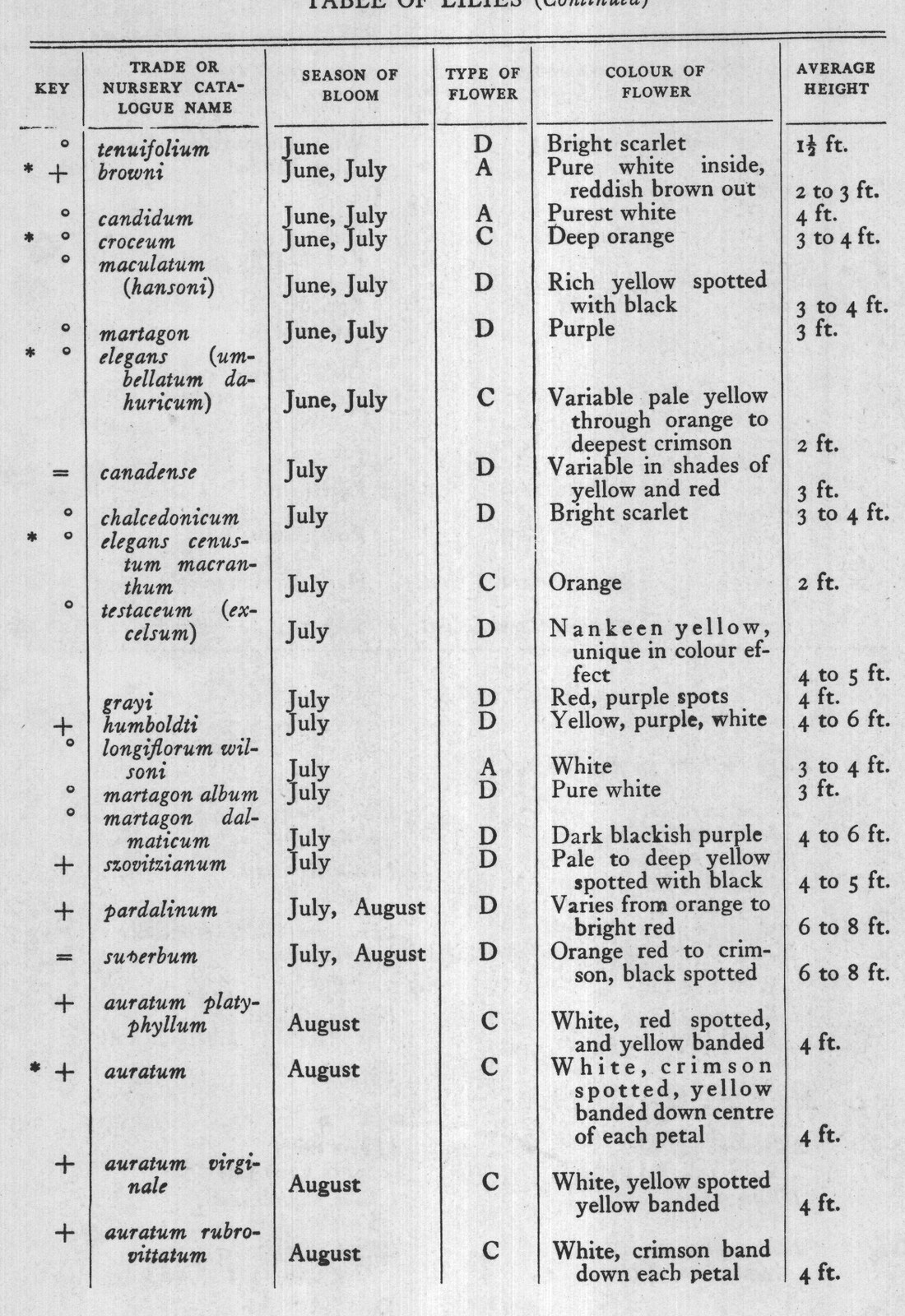 TABLE OF LILIES (Continued)