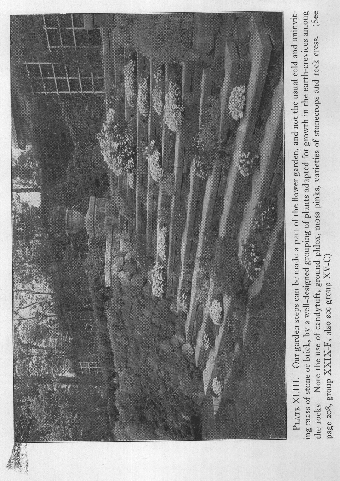page 208, group XXIX-F, also see group XV-C)