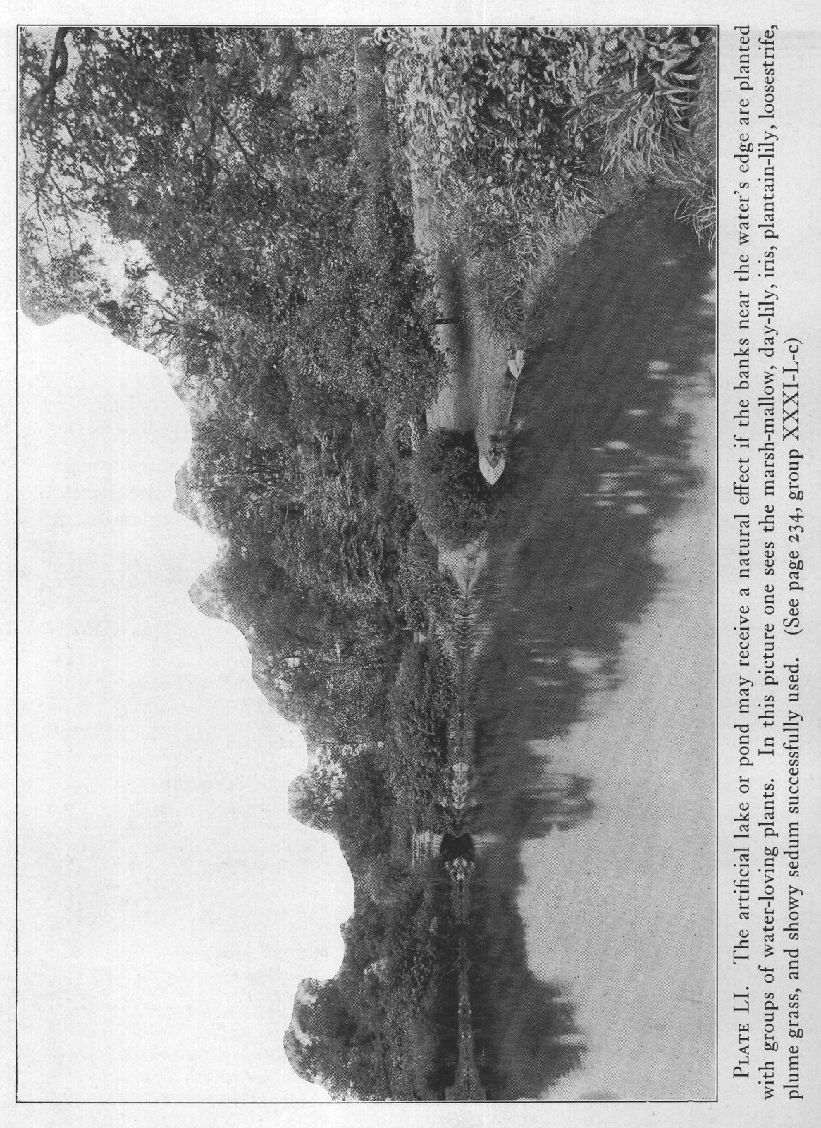 Plants for South Atlantic States — from The Complete Garden (1921)