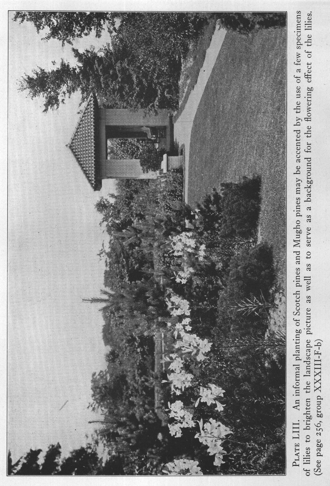 (See page 256, group XXXIII-F-b)
