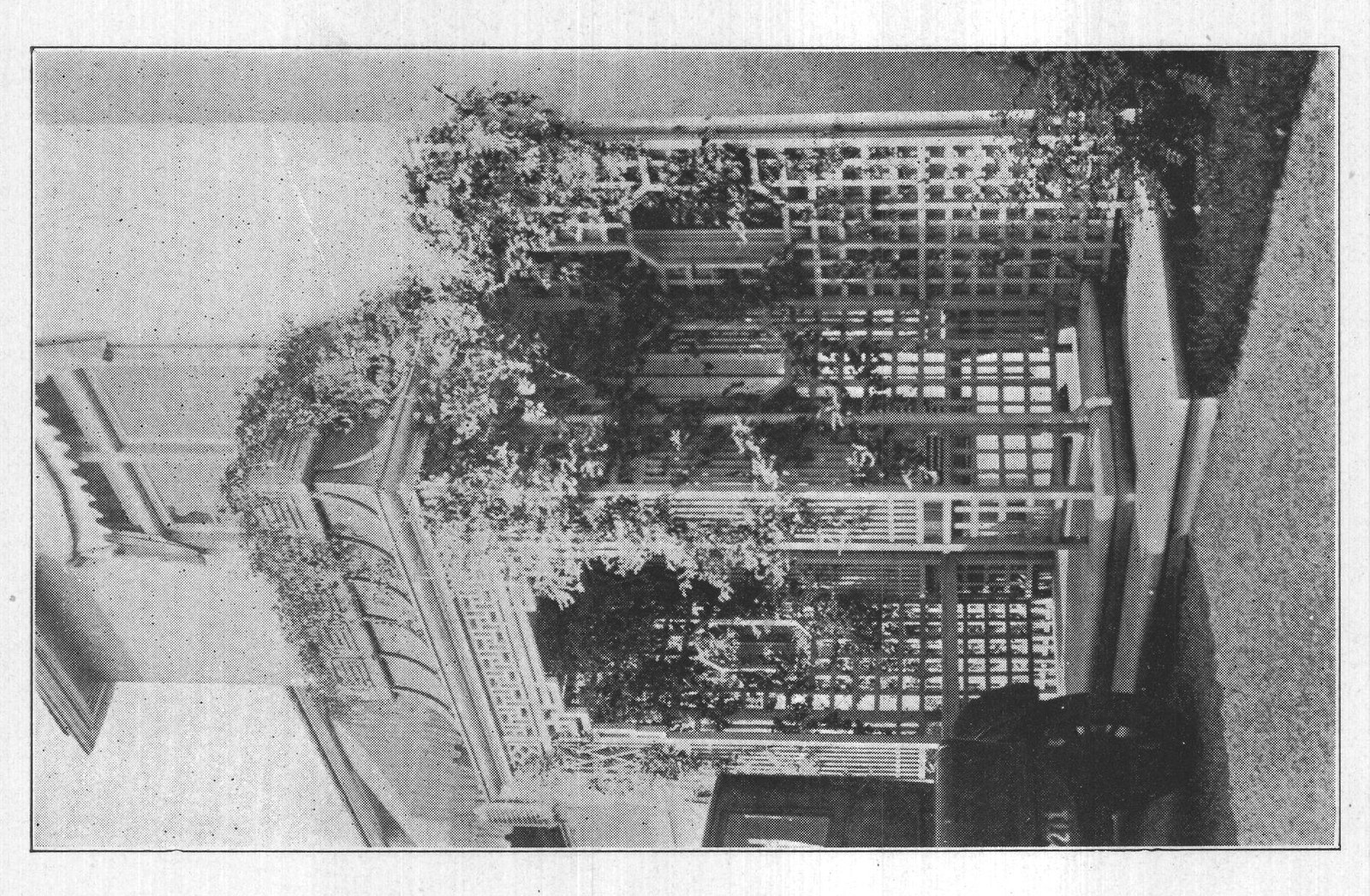 Ton Coastal Plain — from The Complete Garden (1921)