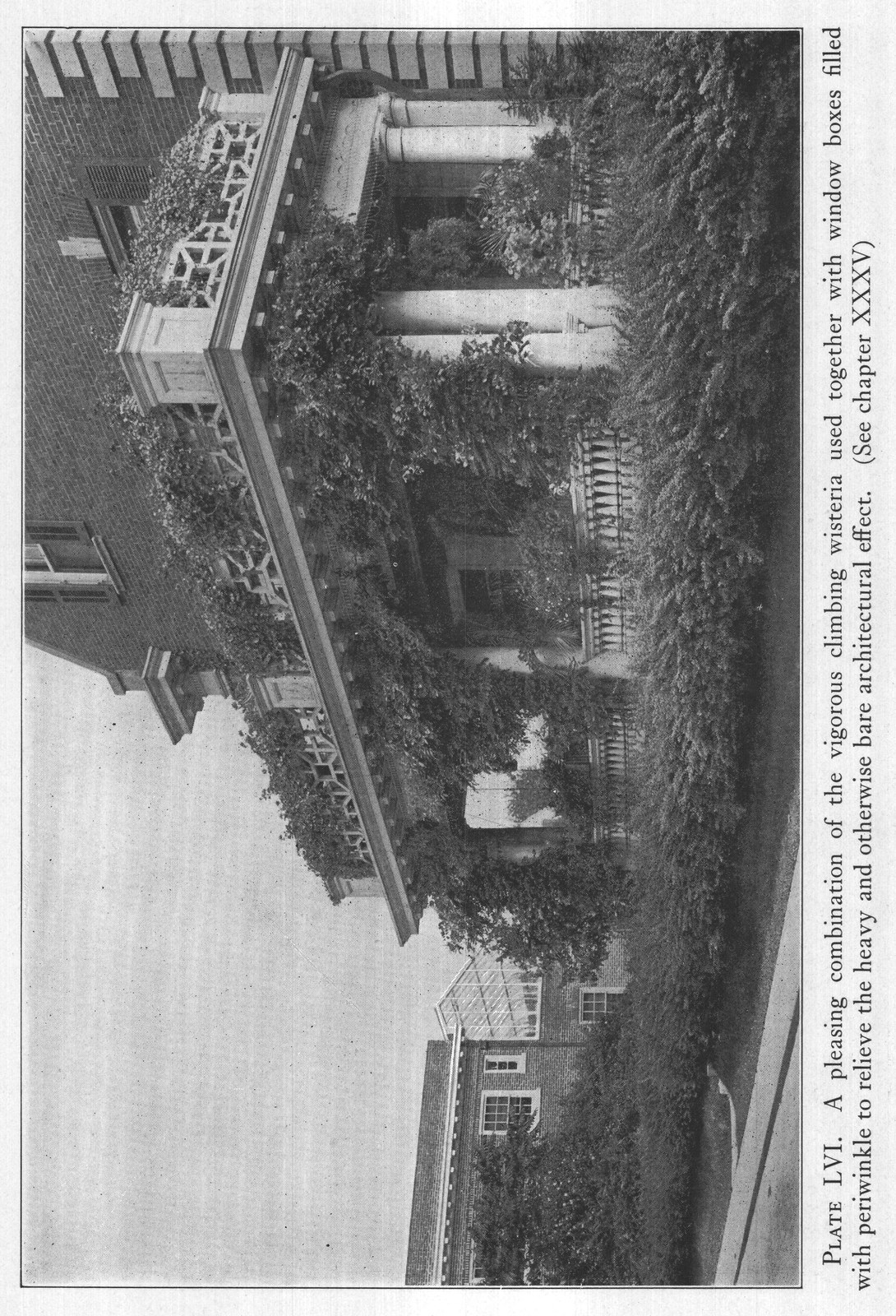 Magazine Reference (DATE Garden Magazine Dec fers) — from The Complete Garden (1921)