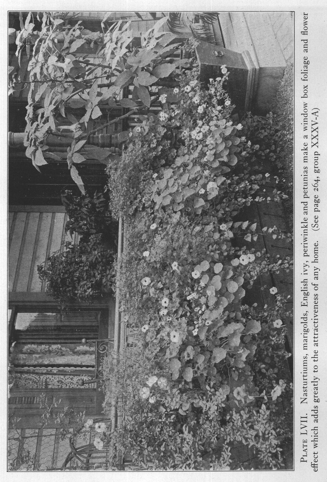effect which adds greatly to the attractiveness of any home. (See page 264, group XXXV-A)