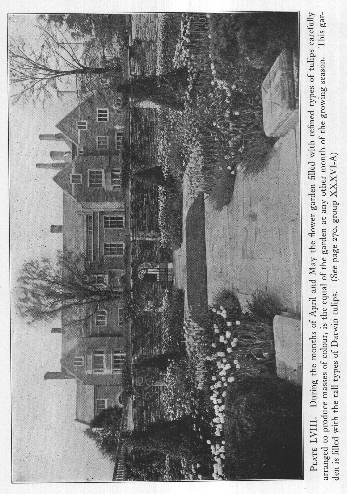 Magazine Reference (DATE Garden Magazine Dec fers) — from The Complete Garden (1921)