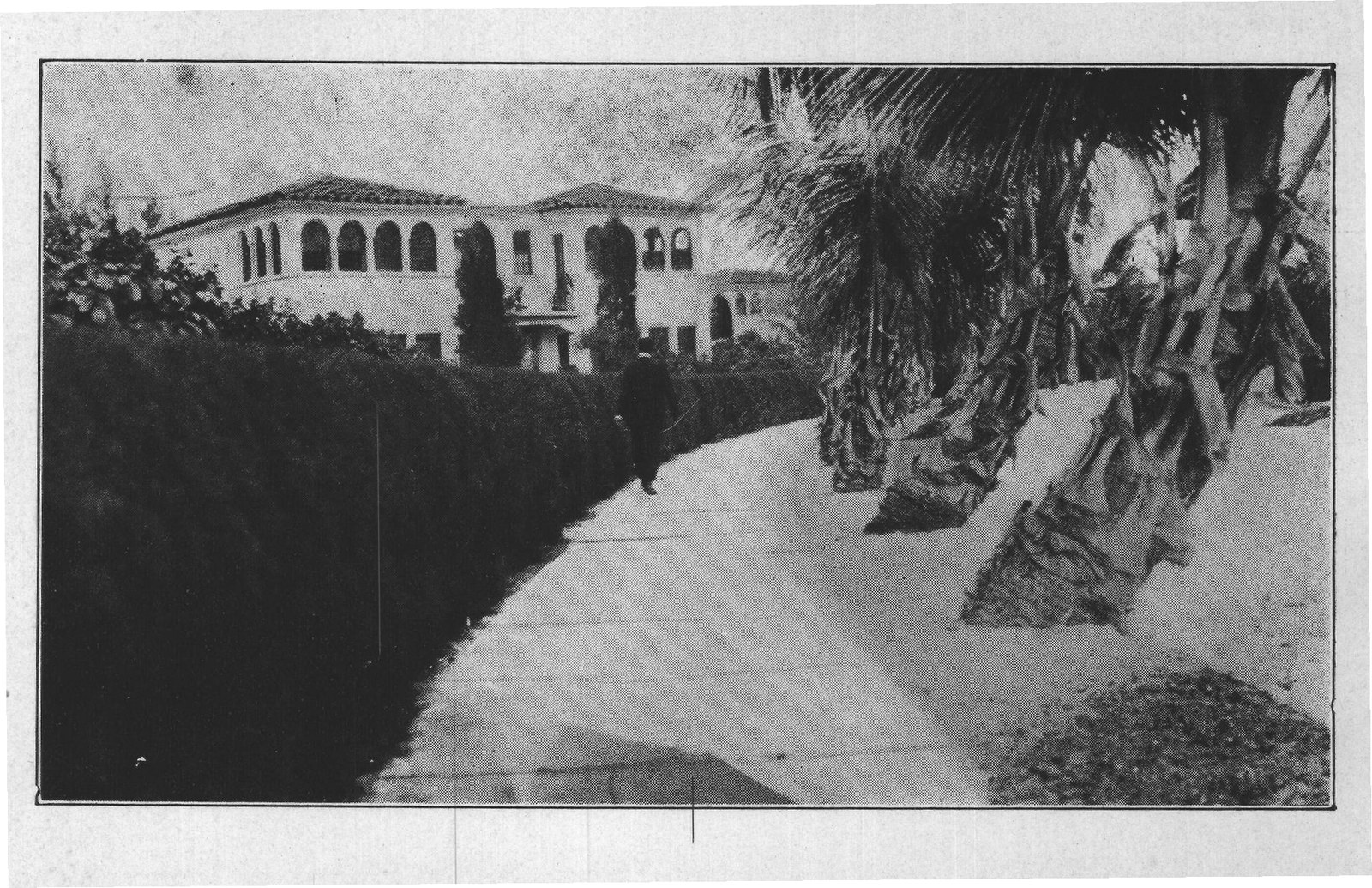 Magazine Reference: Florida — from The Complete Garden (1921)