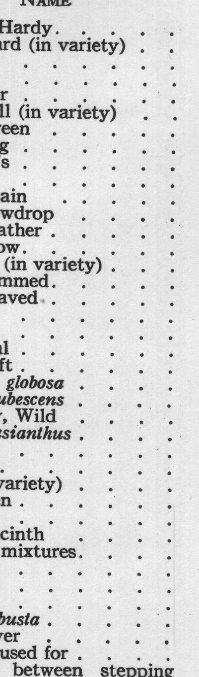 Annuals used for