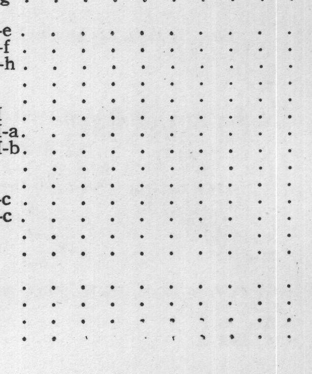 Magazine Reference: Oxalis — from The Complete Garden (1921)