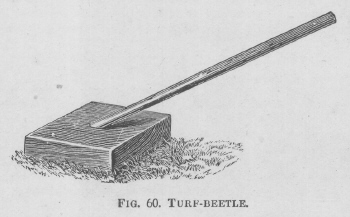 Turf