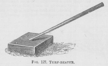 Turf
